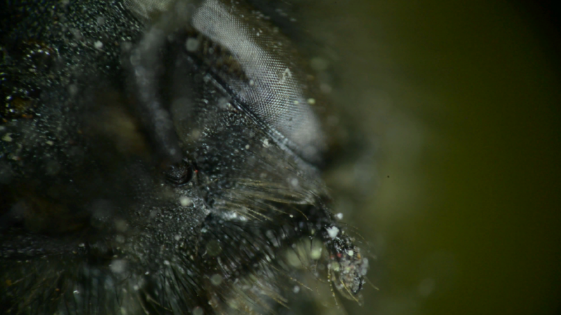 File:Bildschirmfoto 2025-05-20 um 14.58.50.png