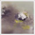 Thumbnail for version as of 21:44, 9 November 2018