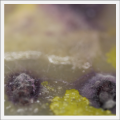 Thumbnail for version as of 21:44, 9 November 2018