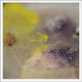 Thumbnail for version as of 21:44, 9 November 2018