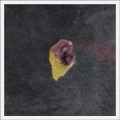 Thumbnail for version as of 20:16, 8 November 2018