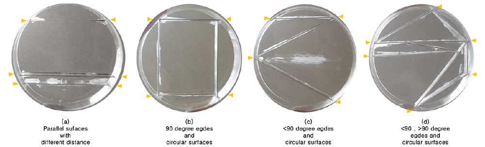 BioArt-3-petri-dishes-exp-1.png