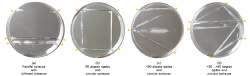 BioArt-3-petri-dishes-exp-1.png