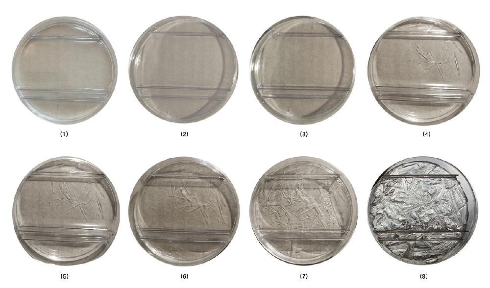 BioArt-3-petri-dishes-exp-2.png