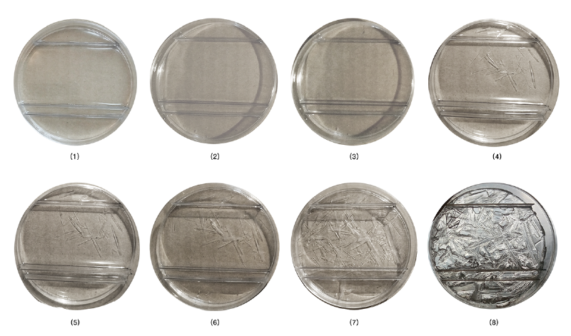 File:BioArt-3-petri-dishes-exp-2.png