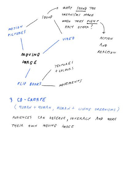 File:Blank Layout 18.2.jpg
