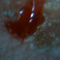 Thumbnail for version as of 23:18, 30 November 2012