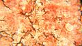 Thumbnail for version as of 11:07, 5 December 2017
