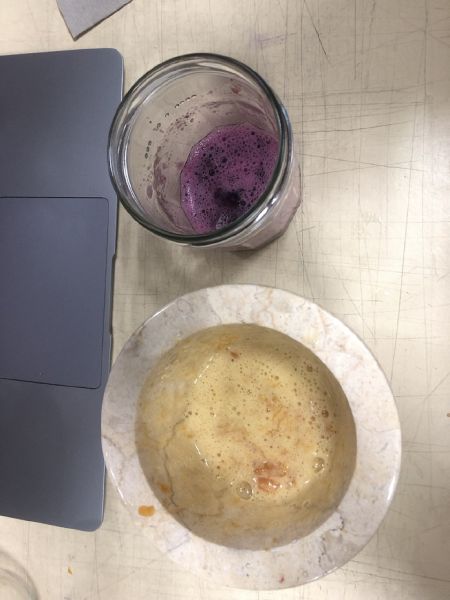 File:Blueberry dna.jpg