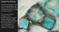 Thumbnail for version as of 09:51, 20 April 2017