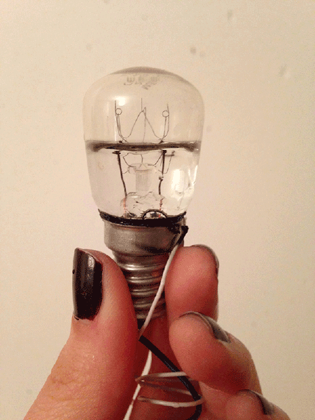 File:Bulb break.png