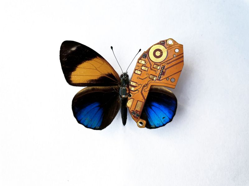 ButterflyPCB.jpg