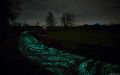 https://www.catersnews.com/stories/quirky/watch-where-youre-glowing-artist-creates-worlds-first-solar-powered-cycle-path/