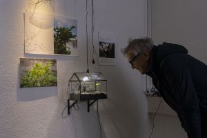 Photo: Christian Doeller. “Y de mortales engaños, Y de sublimes dolores”. Dania González Sanabria.“The Plant Plant” exhibition. Winterwerkschau Bauhaus University. 2025.