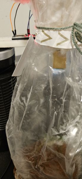 File:CO2sensor setup2.jpg