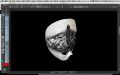 Thumbnail for version as of 11:15, 23 December 2015