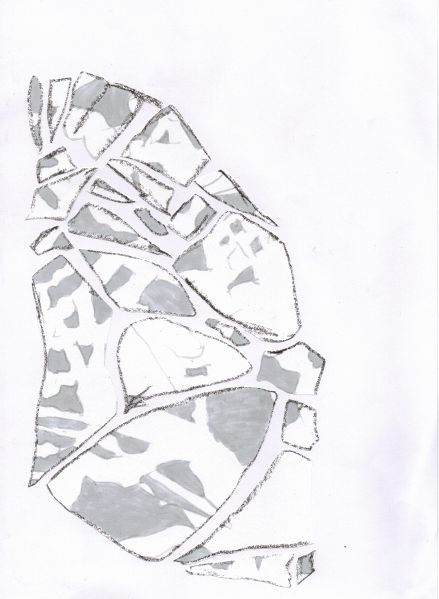 File:Camouflage-WiebkeJa.jpg