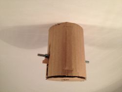 Cardboard nils 01.jpg
