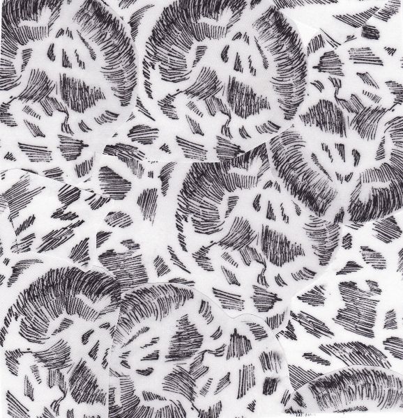 File:Cell2 lydia.jpg