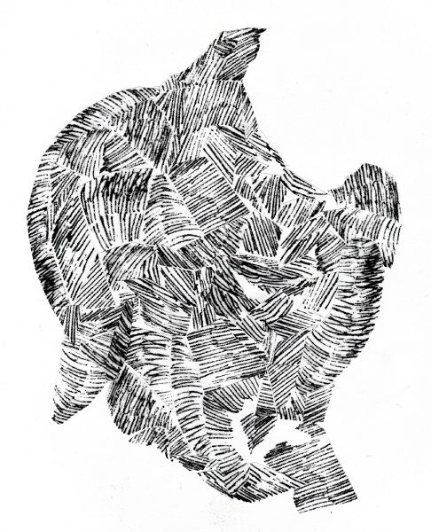 File:Cell4 lydia.jpg