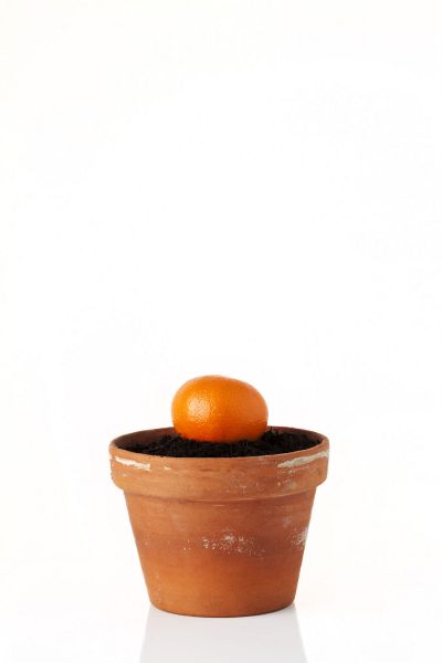Clementine.jpg