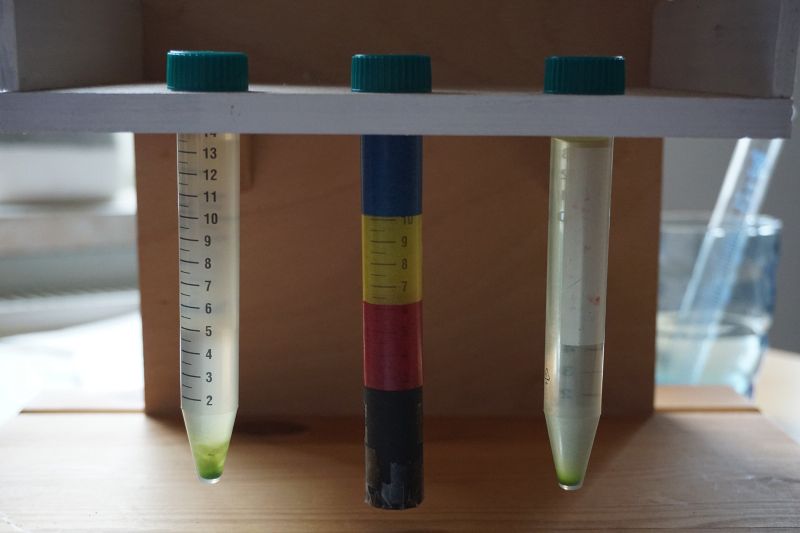 File:Color Experiment 4.JPG