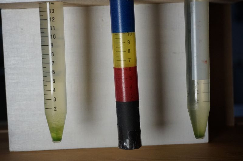 File:Color Experiment 5.JPG