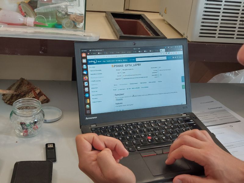 File:Comparing the results with online libraries.jpg