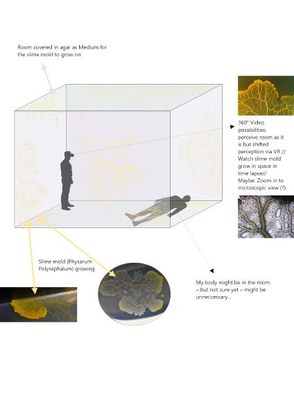 File:Conception graphic.jpg