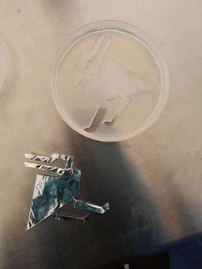 Cut Agar Stencil.jpg