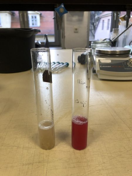 File:DNA Extraction Banana-blueberry1.jpg