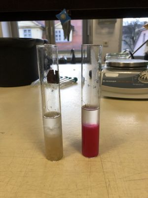 DNA Extraction Banana-blueberry2.jpg