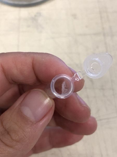 File:DNA from blueberry in tube.jpg