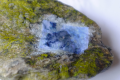 Thumbnail for version as of 16:15, 24 October 2016
