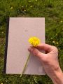 Thumbnail for version as of 20:06, 15 May 2021
