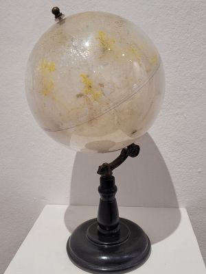 The migrant's Cabinet: This is a work in process composed of several components: There is a world map globe, whose sphere has been replaced by a transparent acrylic one. Inside it I have grown slime mold. On a linen flag hanging from a flagpole embedded in the wall, approximately 2 meters high, I am sewing with golden thread words that I extract from testimonies that I am collecting from Cuban migrants, printed on papers. These testimonies answer questions such as: When, how and where did you emigrate? by what route, route or routes? Why did you emigrate? What were you looking for? What were you escaping from? What are you still looking for? I attach the pieces of paper with the testimonies to the linen in a branched manner, as if tracing map routes or webs of the slime mold itself. There will also be three hemispheres, similar to the larger globe, with maps delicately engraved or printed on this transparent material. Inside, I will plant the slime mold samples in the place where Cuba is drawn on the map, feeding those organisms in the zones where other places are drawn (places in the world where the Cuban diaspora settles), creating the slime mold to "migrate" inside these small maps, emulating the Cuban migratory routes. Statement: The construction of this piece takes the testimonies, anecdotes and statements of Cuban migrants as guides to plant living organisms, and trace tissues, using the molds as a metaphorical image of migrant communities. I intend to redraw the traces of displacements, ramifications and disintegrations configured by the Cuban migrant collectivity through expeditions detonated by necessity, hostilities and utopias, representing social, political, ethical and sentimental networks, interconnected in the same way microorganisms grow.