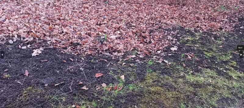 File:Darkdirt.png