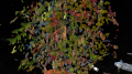 Thumbnail for version as of 22:24, 29 September 2021