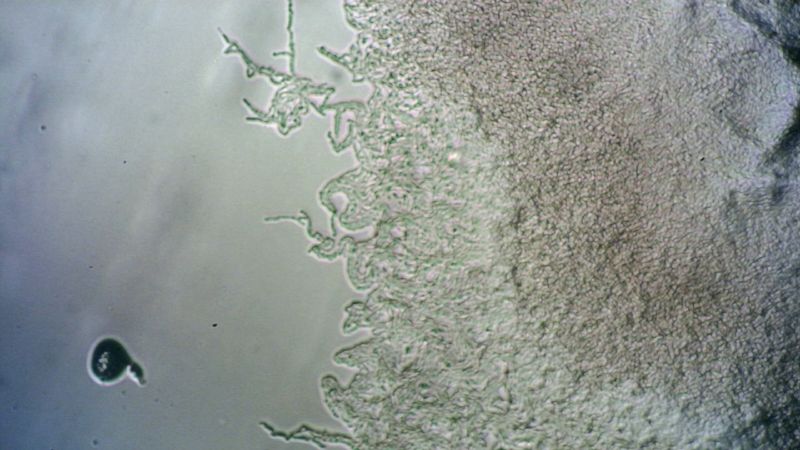 File:Deep water 1 1000 30 05 24 1.jpg