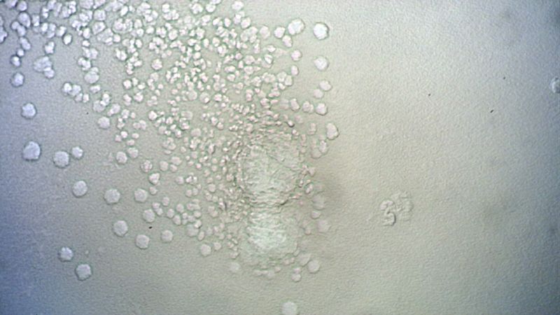 File:Deep water 1 100 30 05 24 2.jpg