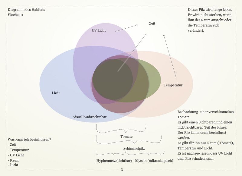 File:Diagramm 01 FS.jpg