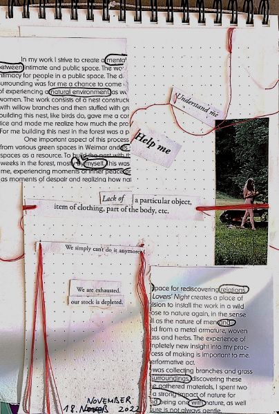 File:Diary entry.jpg