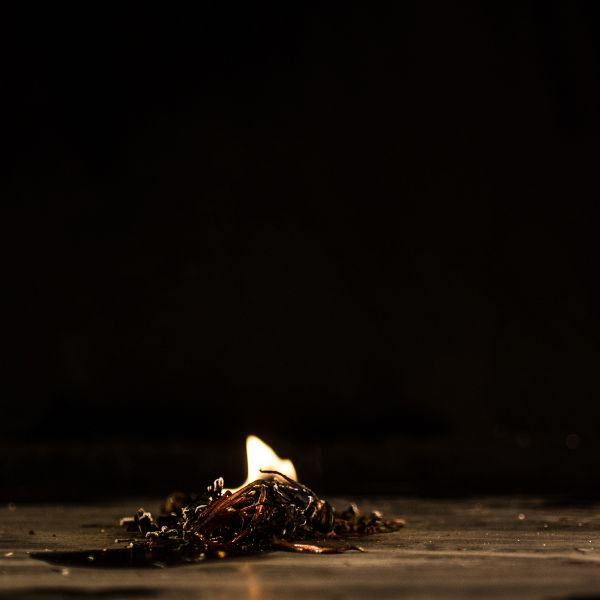 File:Die Pflanze des Phönix' 9.jpg