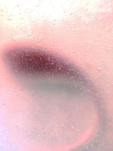 File:Dildo 20230121 214402.jpg
