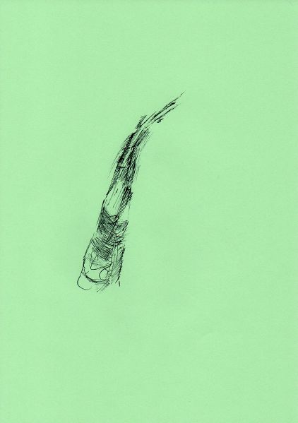 File:Drawing second lesson01.jpg