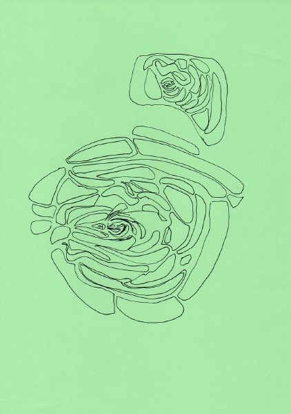 File:Drawing second lesson03.jpg