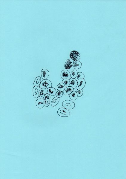 File:Drawing second lesson04.jpg