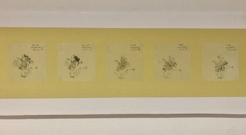 File:Drawings 2.jpg