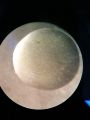 Thumbnail for version as of 11:40, 31 January 2023