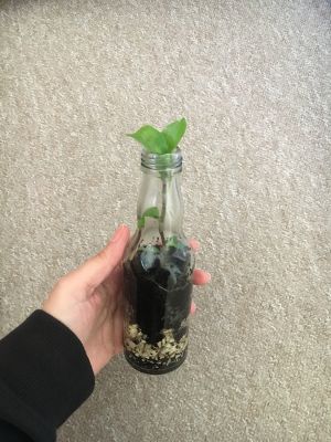 E(8).jpg
